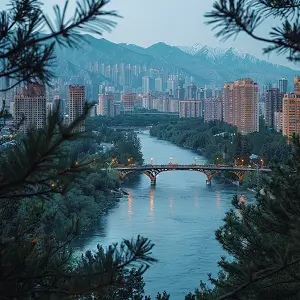 聊城大学董晴简介