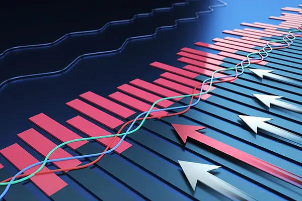 传媒大学金鑫简介