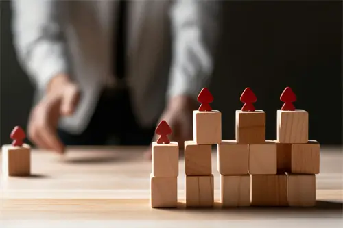 印尼国民大学简介